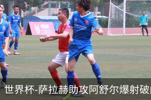 世界杯-萨拉赫助攻阿舒尔爆射破门 埃及半场1-0比利时