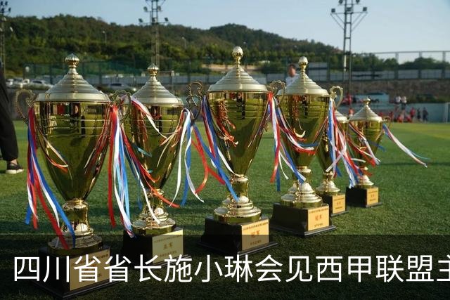 四川省省长施小琳会见西甲联盟主席：促进俱乐部深度合作